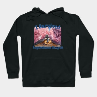 I Survived Leprechaun Canyon, Utah Hoodie